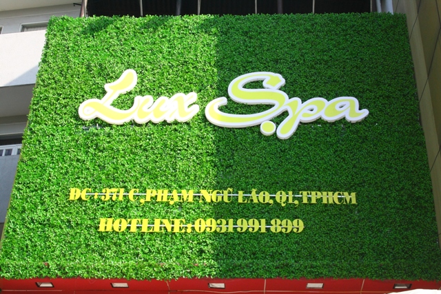 Vân Du cùng Đào Chi Lê bất ngờ hợp tác mở Spa