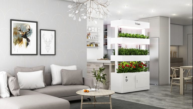 T-Farm kiến tạo không gian xanh