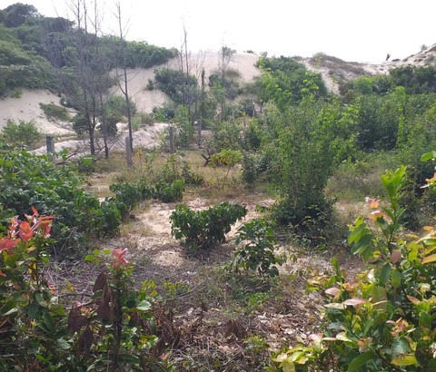 Chủ tịch xã “hè nhau” nâng giá đất cao gấp 1.398 lần nhằm mục đích gì?