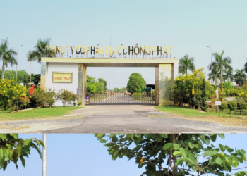 Cần gỡ bỏ “cấm vận” chủ đầu tư để giải cứu dự án nghìn tỷ ở Long An