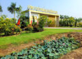 Càng “ngâm” Quyết định 07 ngăn chặn 232,66ha đất của Công ty Hồng Phát, hậu quả càng chồng chất, không thể khắc phục!