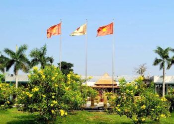 Ép dầu ép mỡ, Cục thi hành nỡ lòng nào cứ mãi ép… liên doanh?