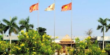 Ép dầu ép mỡ, Cục thi hành nỡ lòng nào cứ mãi ép… liên doanh?