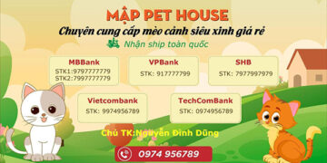 Mập Pet House: “Địa chỉ chăm sóc thú cưng uy tín, đáng tin cậy”