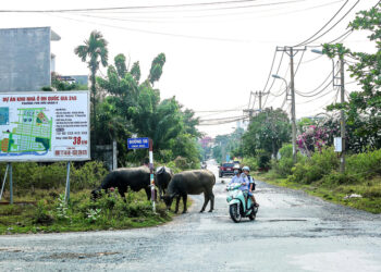 TP Thủ Đức: Hạ tầng ‘bế tắc’ vì cả trăm dự án chưa bàn giao
