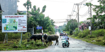 TP Thủ Đức: Hạ tầng ‘bế tắc’ vì cả trăm dự án chưa bàn giao