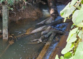 Khu du lịch sinh thái hoạt động ‘chui’ 16 năm