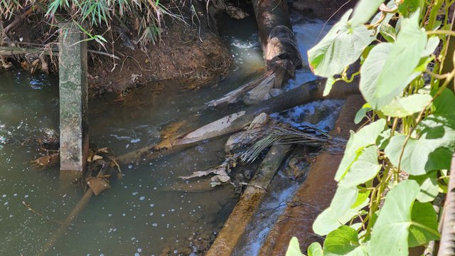 Khu du lịch sinh thái hoạt động ‘chui’ 16 năm